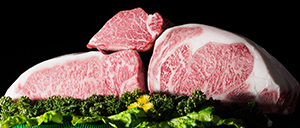 Information Omi Beef Export Promotion Cooperative